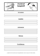 Steckbriefvorlage-Dompfaff.pdf